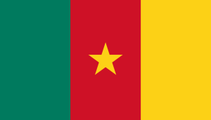 bandera de Camerun colores RGB