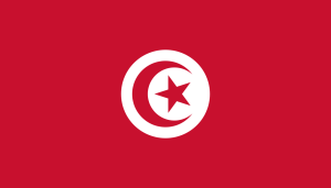 bandera de Tunez colores RGB